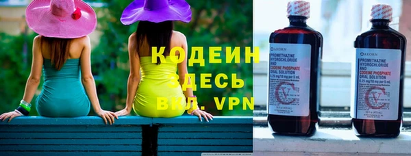 стафф Иннополис