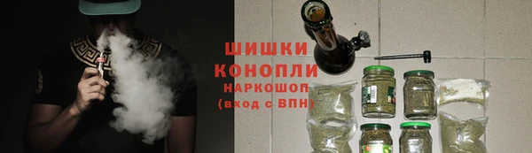 гашик Новодвинск