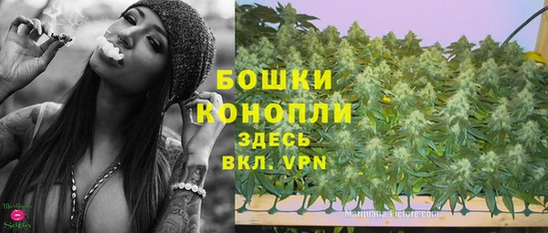 гашик Новодвинск