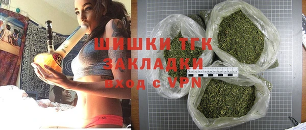 гашик Новодвинск