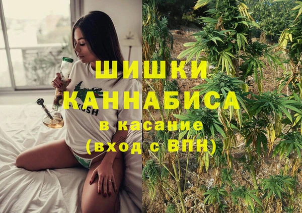 гашик Новодвинск