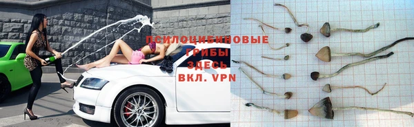 кокс Новокубанск